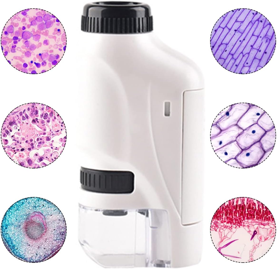 71877d5b3dedaa65f5976dbd72fbeba3 71877d5b3dedaa65f5976dbd72fbeba3